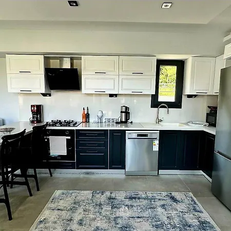 Turuncta Ozel Havuzlu Luks Marin 2 * マルマリス